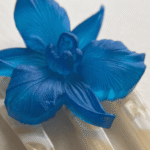 Orquídea Azul