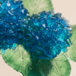 Hortensia
